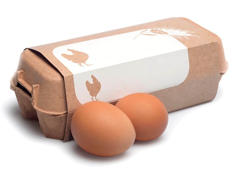 خرید بسته بندی کاغذی تخم مرغ + قیمت فروش استثنایی